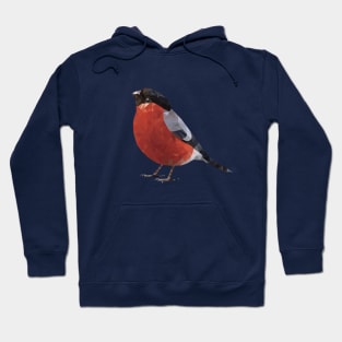 Bullfinch Hoodie